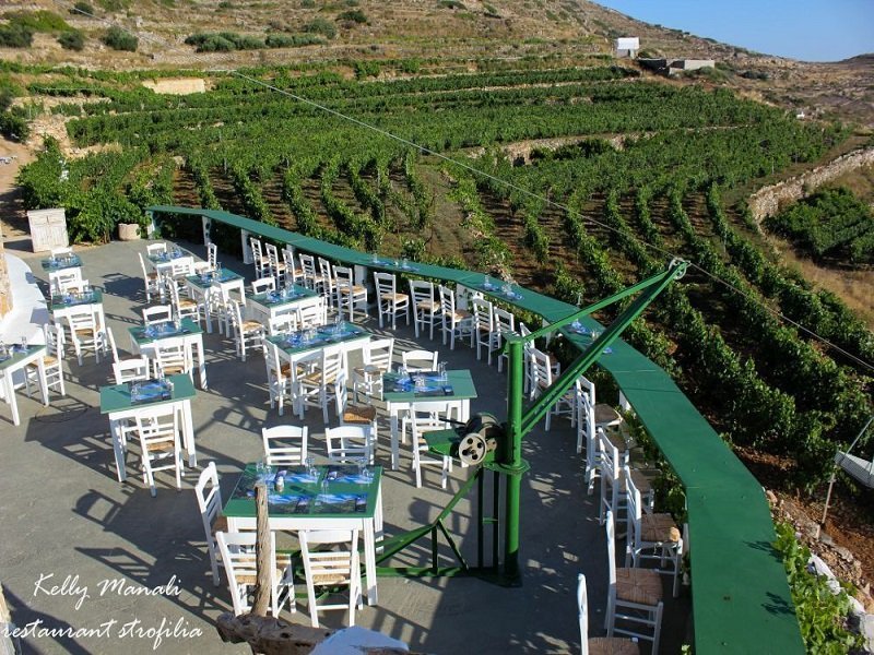 Catamaran-Cruising-The-Manalis-Winery-1
